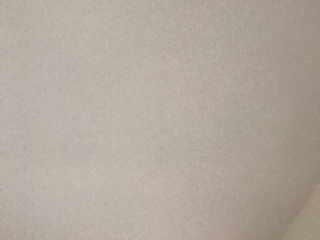 墙、顶面腻子批嵌