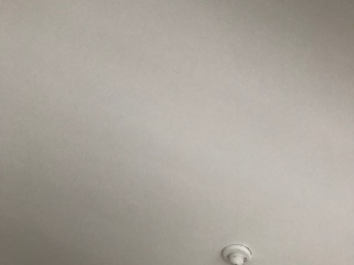 墙、顶面腻子批嵌