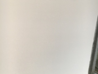 墙、顶面乳胶漆