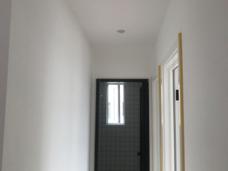 墙、顶面乳胶漆