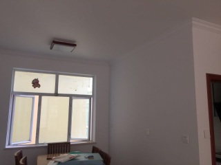 墙、顶面乳胶漆