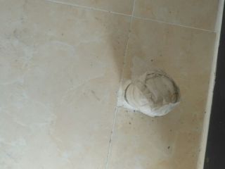 日常巡检