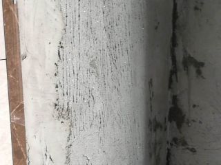日常巡检