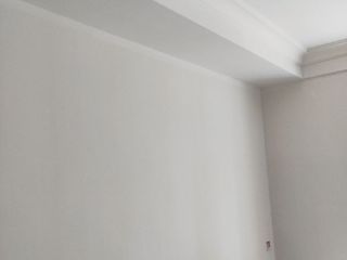 墙、顶面乳胶漆
