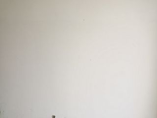 墙、顶面腻子批嵌