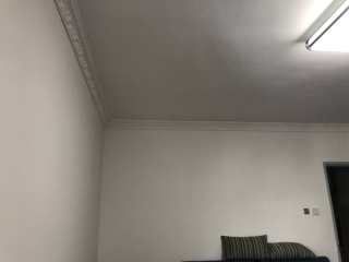墙、顶面腻子批嵌