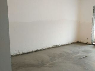 墙、顶面腻子批嵌