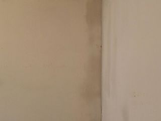 墙、顶面乳胶漆及墙纸铺贴