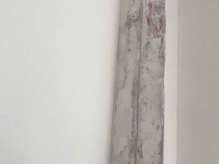 墙、顶面乳胶漆