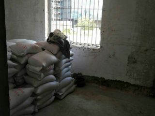 现场木制品造型施作