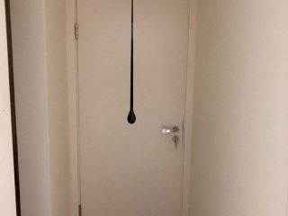 成品门及墙纸铺贴