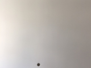 墙、顶面乳胶漆