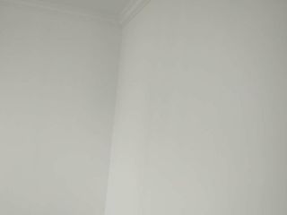 墙、顶面乳胶漆