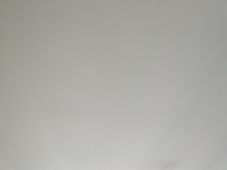 墙、顶面腻子批嵌