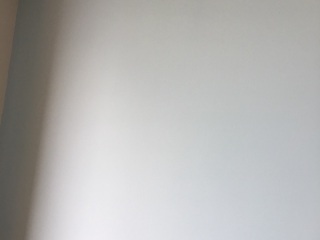 墙、顶面乳胶漆