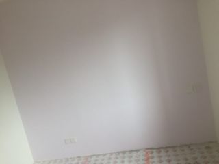 墙、顶面乳胶漆