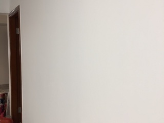 墙、顶面腻子批嵌