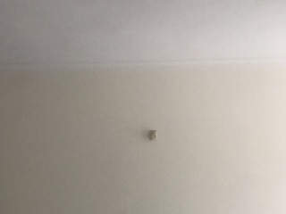墙、顶面乳胶漆