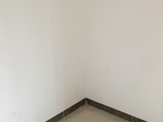 墙、顶面腻子批嵌