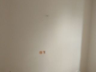墙、顶面乳胶漆