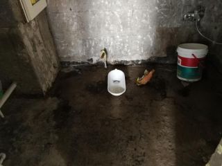 日常巡检