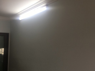 墙、顶面乳胶漆
