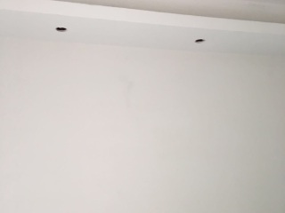 墙、顶面腻子批嵌