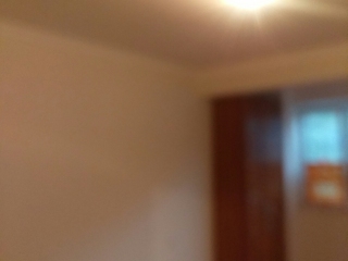墙、顶面乳胶漆