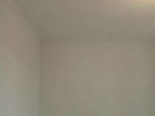 现场木制品造型施作