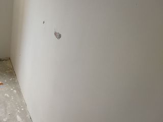 墙、顶面腻子批嵌