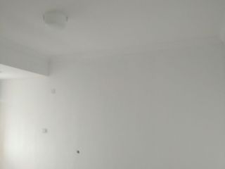 墙、顶面乳胶漆