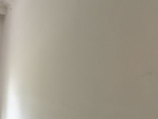 墙、顶面乳胶漆