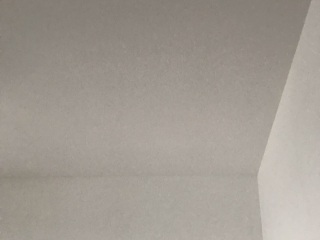 墙、顶面乳胶漆