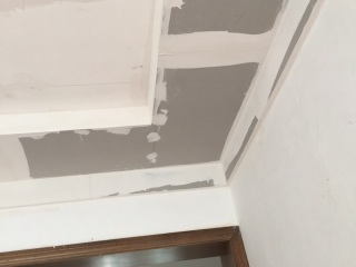 墙、顶面腻子批嵌