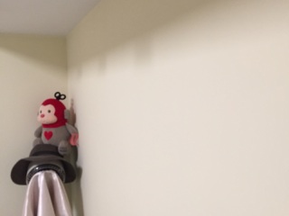墙、顶面乳胶漆