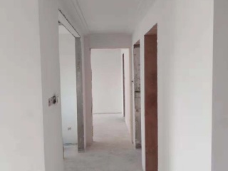 墙、顶面腻子批嵌