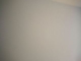 墙、顶面乳胶漆