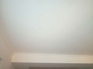 墙、顶面乳胶漆