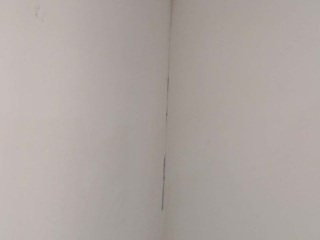 墙、顶面腻子批嵌
