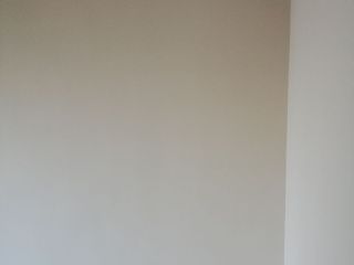 墙、顶面乳胶漆