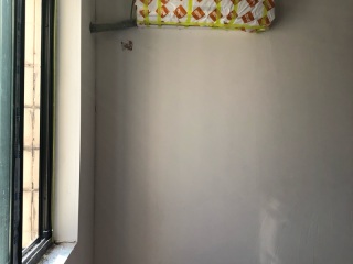 墙、顶面腻子批嵌