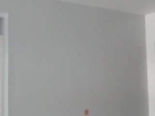 墙、顶面乳胶漆