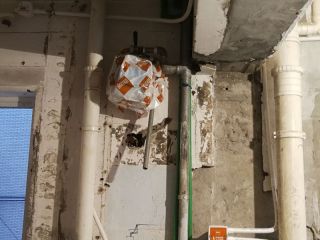 日常巡检