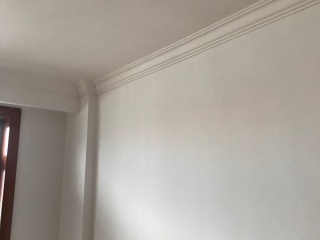 墙、顶面乳胶漆