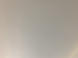 墙、顶面乳胶漆