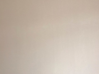 墙、顶面腻子批嵌