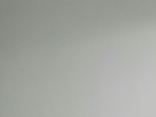 墙、顶面乳胶漆