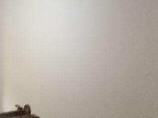 墙、顶面腻子批嵌