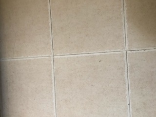 日常巡检