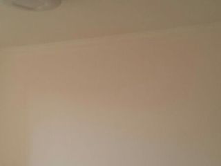墙、顶面乳胶漆